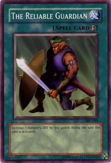 The Reliable Guardian: Spell Ruler