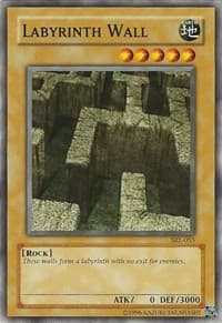 Labyrinth Wall: Spell Ruler