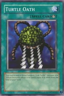 Turtle Oath: Spell Ruler
