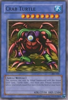 Crab Turtle: Spell Ruler