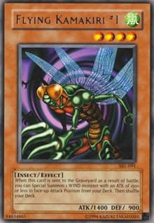 Flying Kamakiri #1: Spell Ruler