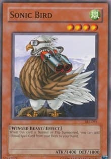 Sonic Bird: Spell Ruler