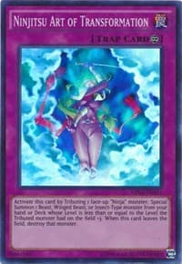 Ninjitsu Art of Transformation: OTS Tournament Pack 2