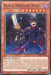 Black Dragon Ninja: The Dark Illusion