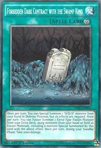 Forbidden Dark Contract with the Swamp King: The Dark Illusion