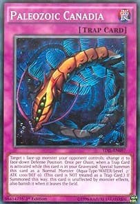 Paleozoic Canadia: The Dark Illusion