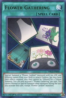 Flower Gathering: Dragons of Legend: Unleashed
