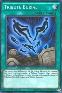 Tribute Burial: Duelist Pack: Rivals of the Pharaoh
