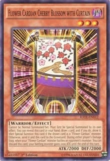 Flower Cardian Cherry Blossom with Curtain: Raging Tempest