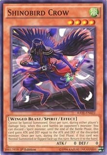 Shinobird Crow: Raging Tempest