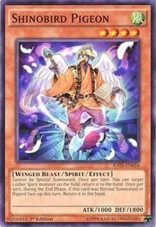 Shinobird Pigeon: Raging Tempest