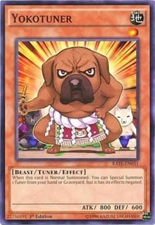 Yokotuner: Raging Tempest