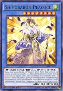 Shinobaron Peacock: Raging Tempest