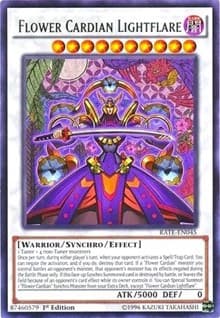 Flower Cardian Lightflare: Raging Tempest