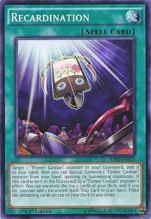 Recardination: Raging Tempest