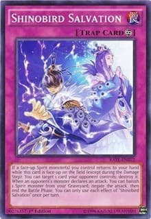 Shinobird Salvation: Raging Tempest