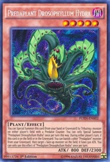 Predaplant Drosophyllum Hydra: Fusion Enforcers