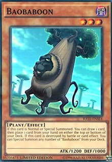 Baobaboon: Raging Tempest