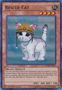 Rescue Cat: Duelist Saga