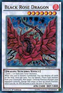 Black Rose Dragon: Duelist Saga