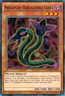 Predaplant Darlingtonia Cobra: Maximum Crisis
