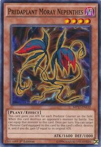 Predaplant Moray Nepenthes: 2017 Mega-Tins Mega Pack