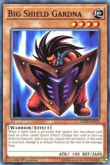 Big Shield Gardna: Legendary Dragon Decks