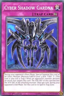 Cyber Shadow Gardna: Legendary Dragon Decks
