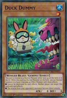 Duck Dummy: Circuit Break