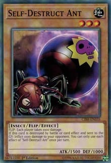 Self-Destruct Ant: Circuit Break
