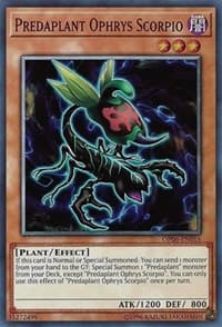 Predaplant Ophrys Scorpio: OTS Tournament Pack 6