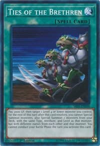 Ties of the Brethren: Structure Deck: Wave of Light