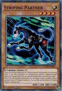 Striping Partner: Extreme Force