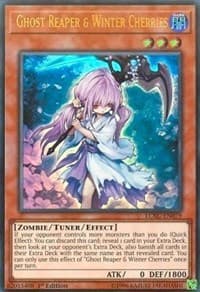 Ghost Reaper & Winter Cherries: Legendary Collection Kaiba