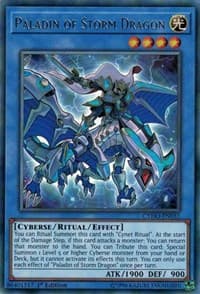 Paladin of Storm Dragon: Cybernetic Horizon