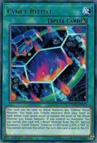 Cynet Ritual: Cybernetic Horizon