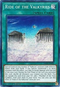 Ride of the Valkyries: Shadows in Valhalla