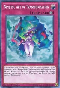 Ninjitsu Art of Transformation: Shadows in Valhalla