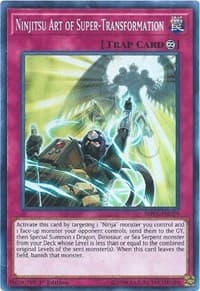 Ninjitsu Art of Super-Transformation: Shadows in Valhalla