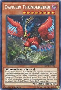Danger! Thunderbird!: Soul Fusion