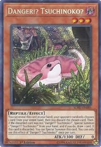 Danger!? Tsuchinoko?: Soul Fusion