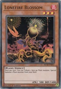 Lonefire Blossom: Advent Calendar 2018
