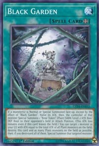 Black Garden: Legendary Duelists: Sisters of the Rose