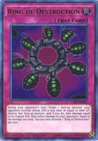 Ring of Destruction: The Lost Art Promotion