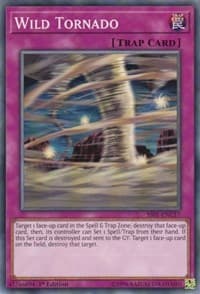 Wild Tornado: Speed Duel Decks: Destiny Masters