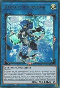 Backup Supervisor: Duel Power