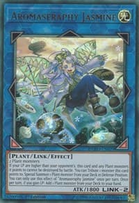 Aromaseraphy Jasmine: Duel Power