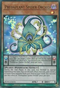 Predaplant Spider Orchid: Duel Power