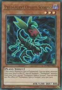 Predaplant Ophrys Scorpio: Duel Power