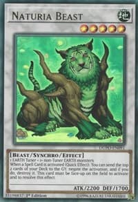 Naturia Beast: Duel Power